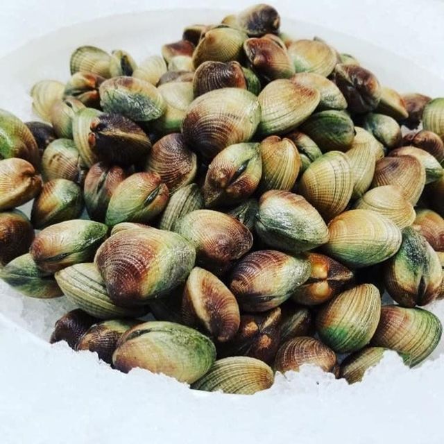Long Island littleneck clams