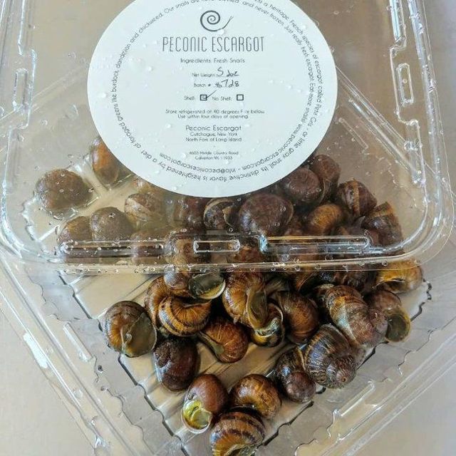 Peconic escargot