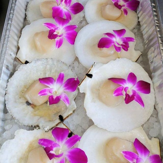 Live sea scallops on the half shell