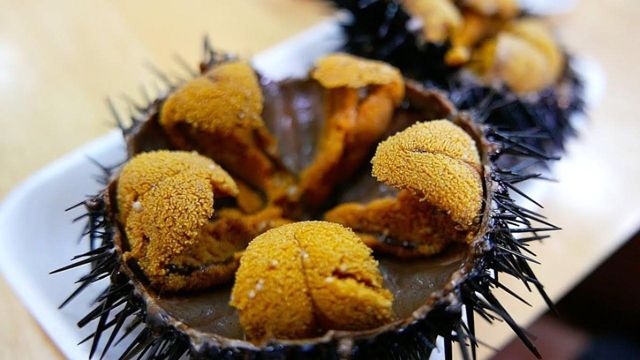 Sea urchin (uni)