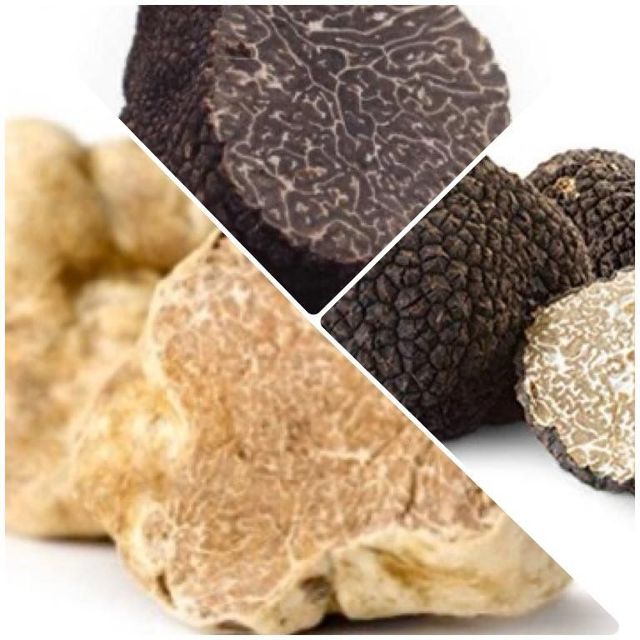 Black and white truffles